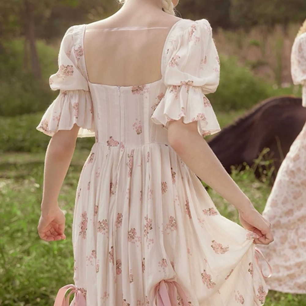 Rose's Smile Corset Dress lI